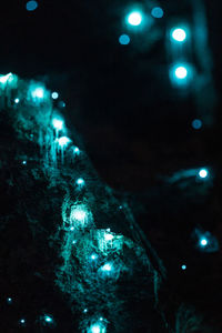 Defocused image of illuminated swimming in sea