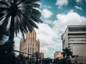 Low angle view of palm trees and buildings against sky