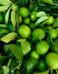 Full frame shot of fruits