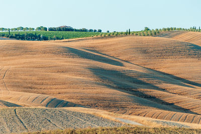 Wavy hills in tuscan farmland