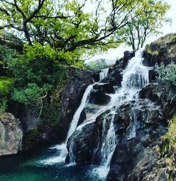 Scenic view of waterfall in forest