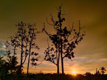 Low angle view of silhouette tree against sky during sunset