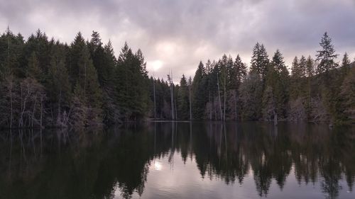 Reflection of trees in lake against sky