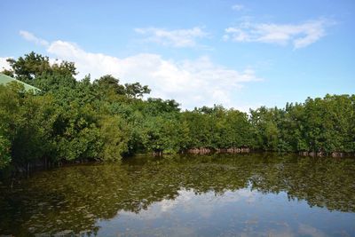 Scenic view of river by trees against sky