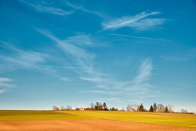 Scenic view of agricultural field against blue sky