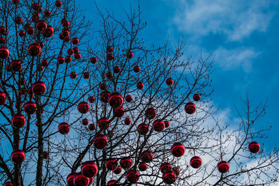 Low angle view of christmas tree against sky