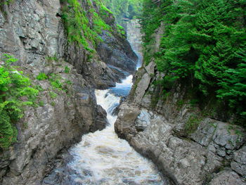 Stream flowing through rocks in forest