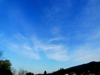 Low angle view of silhouette trees against blue sky