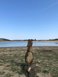 Driftwood on beach against clear sky