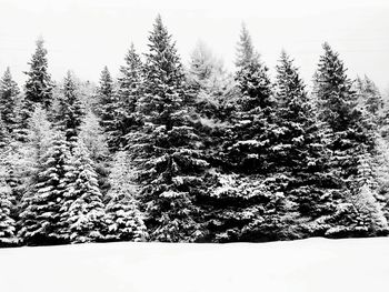 Scenic view of snow covered landscape