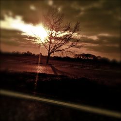 Silhouette tree on landscape against sunset sky