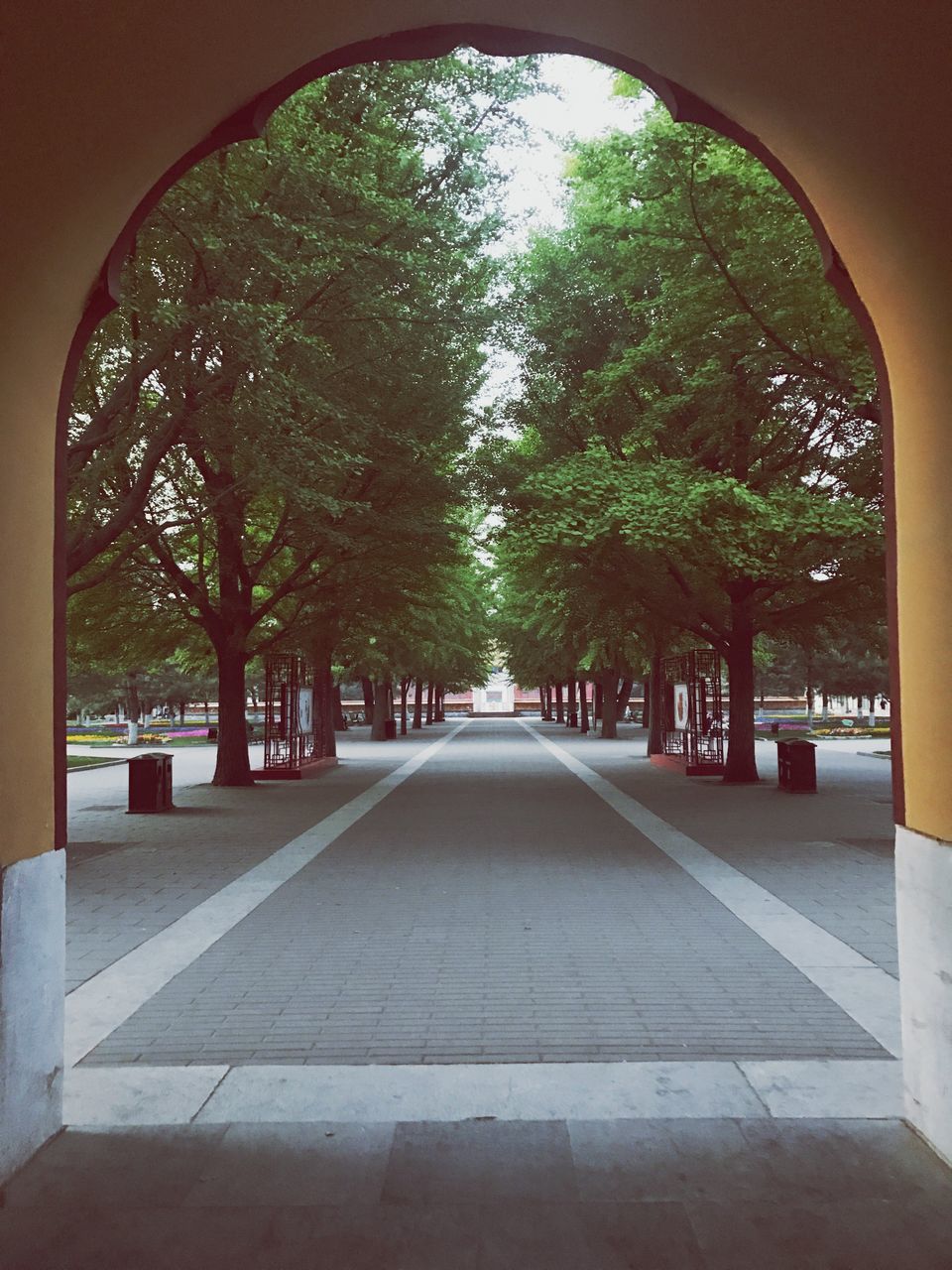 tree, the way forward, no people, outdoors, day, city, architecture, nature, sky