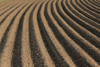 Full frame shot of agricultural field