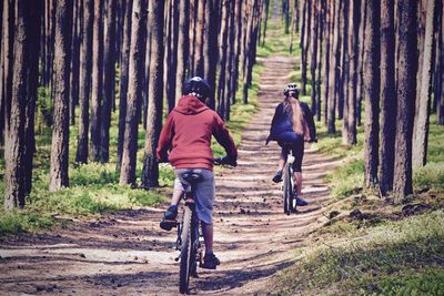 Rear view of friends riding bicycles in forest