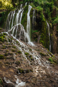 Scenic view of waterfall in forest