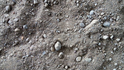 Full frame of pebbles on beach