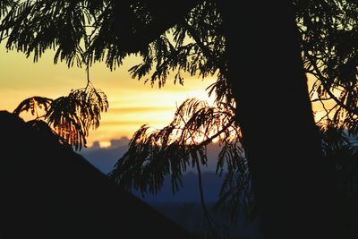 Low angle view of silhouette trees against sky during sunset