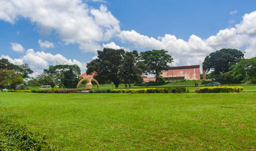 Trees and plants on field against sky