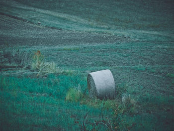 Scenic view of agricultural field