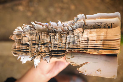 Close-up of hand holding burnt book