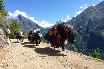 Group of people walking on road