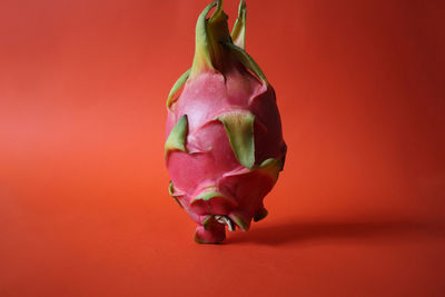 Close-up of fruit against red background