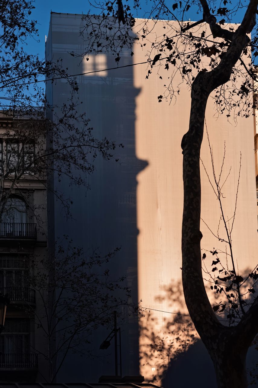 tree, plant, architecture, nature, reflection, building exterior, branch, built structure, sky, city, no people, darkness, silhouette, tree trunk, evening, building, trunk, bare tree, outdoors, light, shadow, sunlight, travel destinations