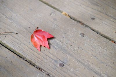 Close-up of wooden plank