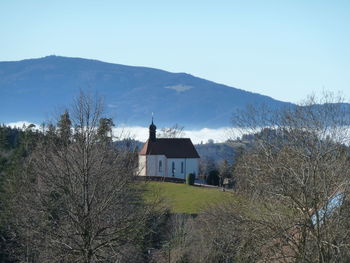 Trees and houses against sky