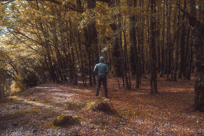 Rear view of man in forest