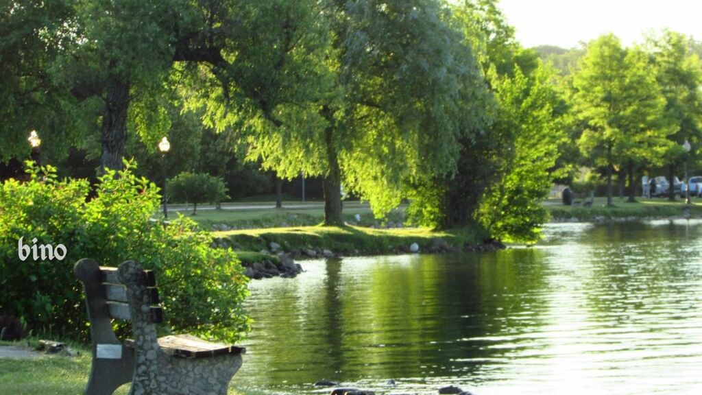 tree, plant, water, lake, nature, reflection, day, no people, green color, park, growth, tranquility, outdoors, park - man made space, beauty in nature, grass, tranquil scene, bridge