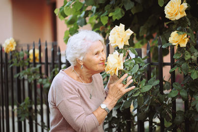 Elderly woman admiring beautiful bushes with yellow roses