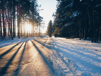Snow covered trees in forest against sky