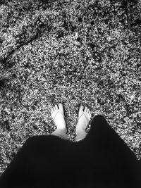 Low section of woman standing on ground