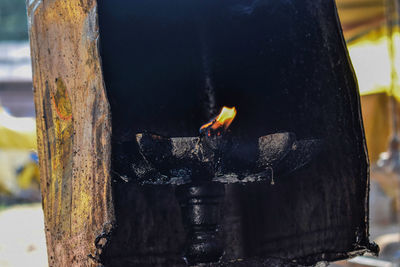 Close-up of fire on tree trunk