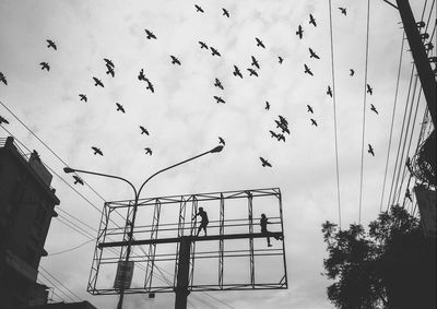 Low angle view of silhouette people on billboard against birds