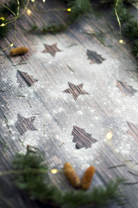 High angle view of leaves on wood