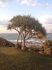 Scenic view of sea against cloudy sky