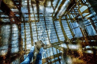 Reflection of trees in water