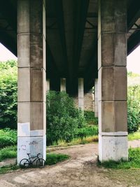 Arch bridge with trees in background