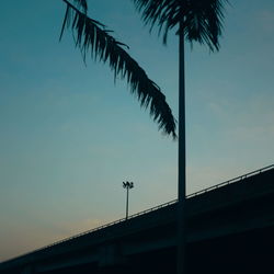 Low angle view of silhouette palm trees and building against sky