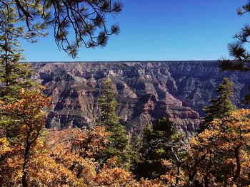 Scenic view of landscape against clear sky