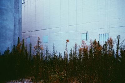 Low angle view of building against sky