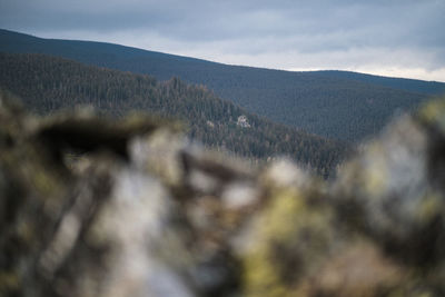 mountain