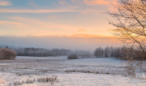 Winter landscape with a lot of snow and sunshine in central sweden.