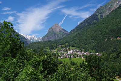 Panoramic view of trees and buildings against sky