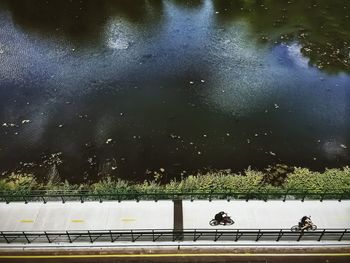 Reflection of trees in water
