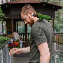 Young man holding a bird