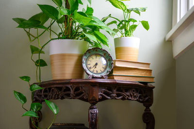 Potted plants on table at home