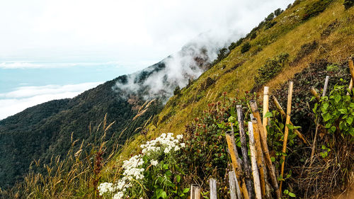 Scenic view of mountain against sky